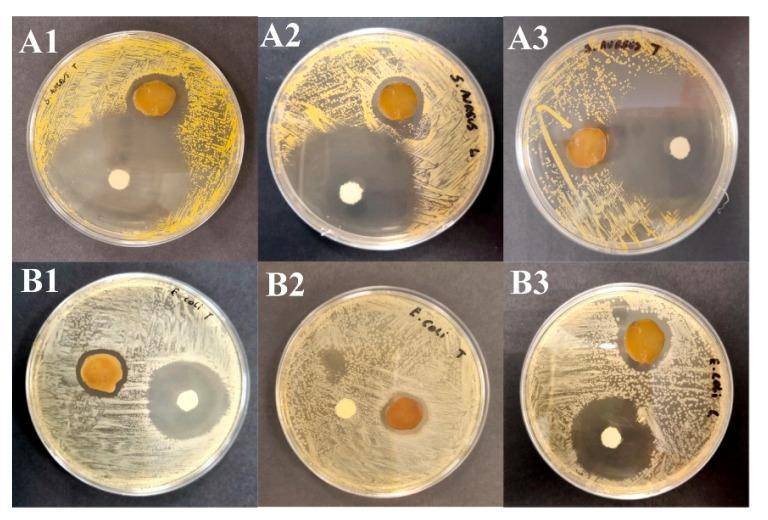 https://cdn.ncbi.nlm.nih.gov/pmc/blobs/bc76/12195901/84caf4f1709c/pharmaceuticals-18-00799-g008.jpg