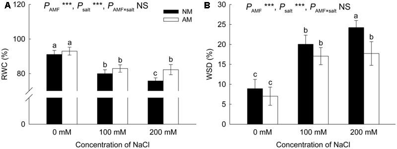 https://cdn.ncbi.nlm.nih.gov/pmc/blobs/bc76/5641402/61db8237aac0/fpls-08-01739-g004.jpg
