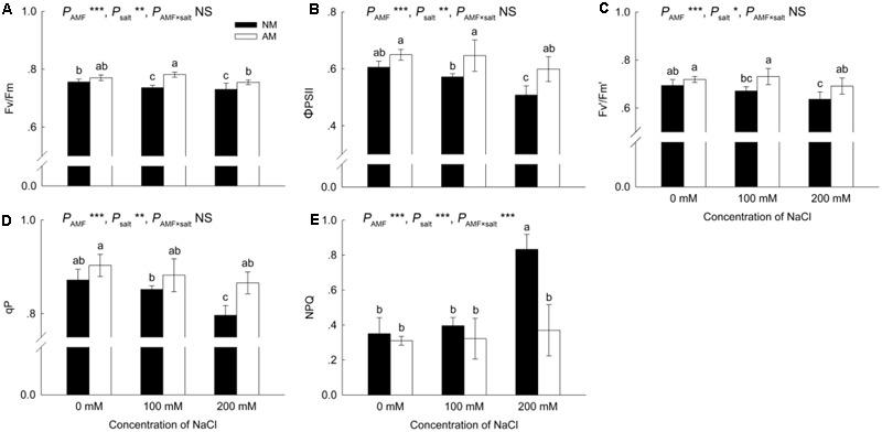 https://cdn.ncbi.nlm.nih.gov/pmc/blobs/bc76/5641402/a7da428a9cfe/fpls-08-01739-g003.jpg