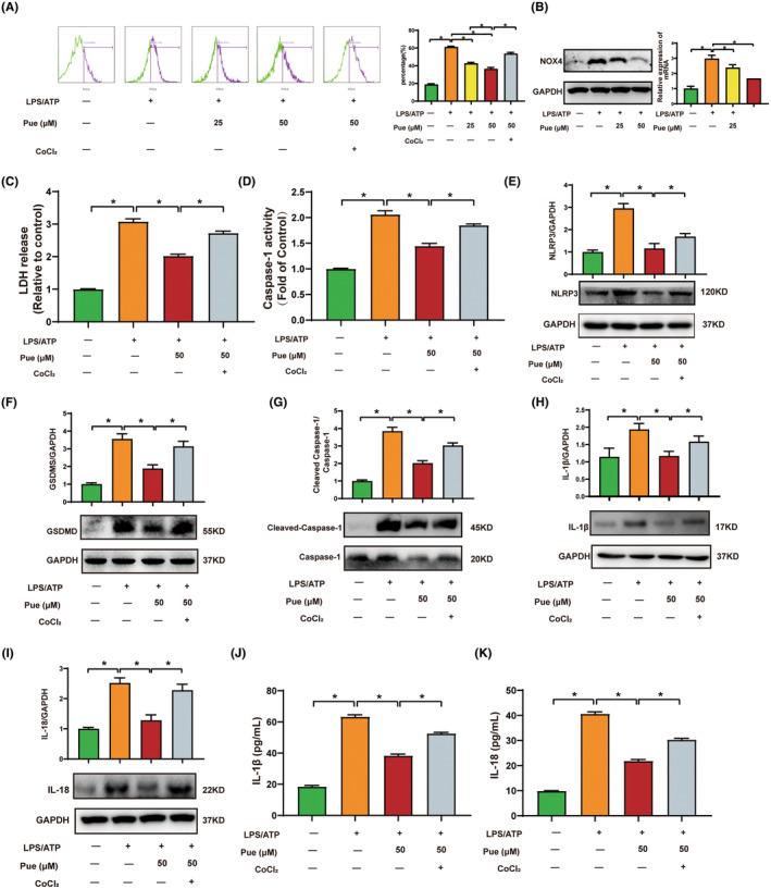 https://cdn.ncbi.nlm.nih.gov/pmc/blobs/bc77/11109626/332888ef6280/JCMM-28-e18239-g002.jpg