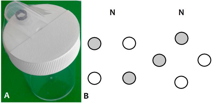 https://cdn.ncbi.nlm.nih.gov/pmc/blobs/bc78/5339730/ee7e0b47d19f/srep43872-f1.jpg