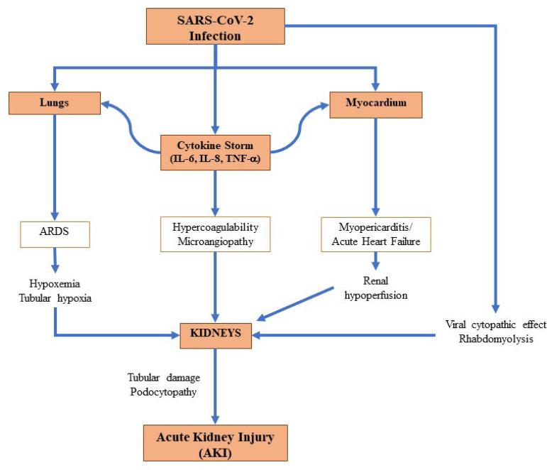 https://cdn.ncbi.nlm.nih.gov/pmc/blobs/bc78/8940122/6661381582a8/2175-8239-jbn-2020-0204-gf02.jpg
