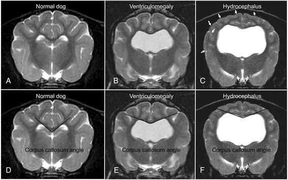 https://cdn.ncbi.nlm.nih.gov/pmc/blobs/bc79/4522113/f6caa813c485/12917_2015_479_Fig3_HTML.jpg