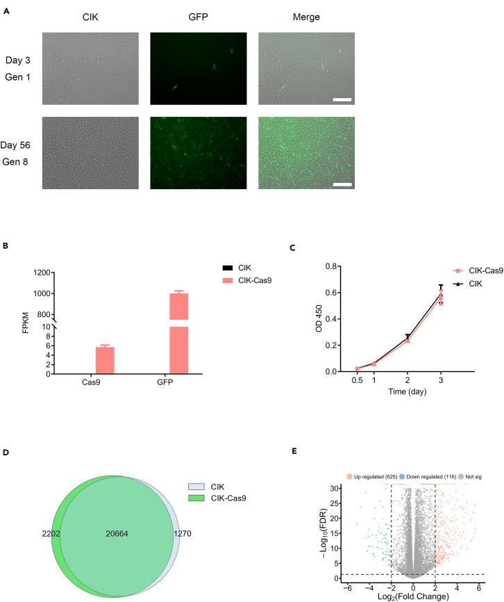 https://cdn.ncbi.nlm.nih.gov/pmc/blobs/bc7c/11326935/991a68191163/gr7.jpg