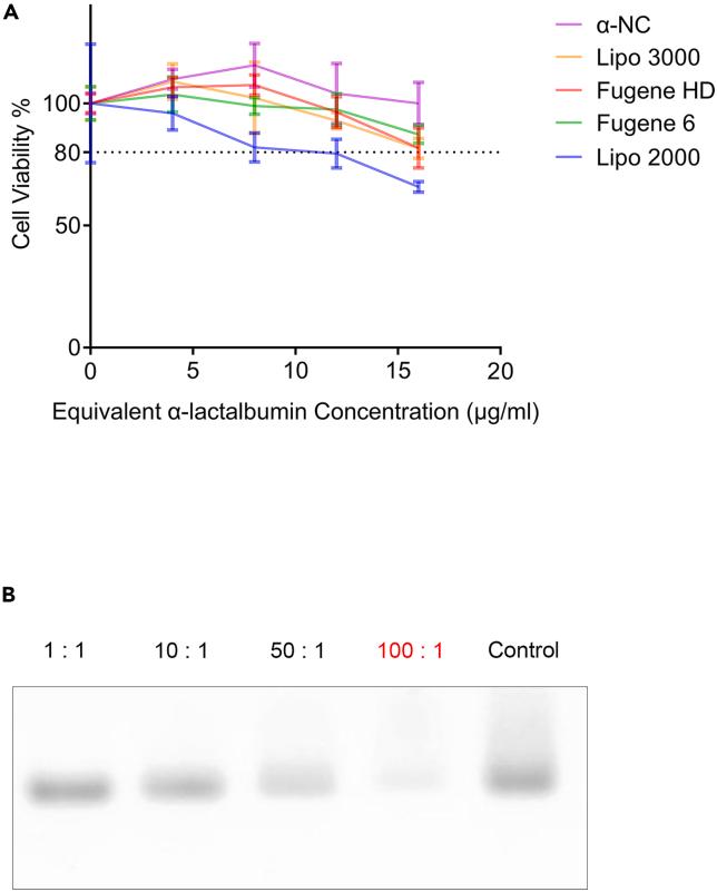 https://cdn.ncbi.nlm.nih.gov/pmc/blobs/bc7c/11326935/e3136f16c70c/gr4.jpg