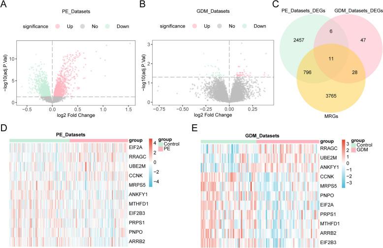 https://cdn.ncbi.nlm.nih.gov/pmc/blobs/bc7c/12224715/ac653ac561d5/40001_2025_2823_Fig2_HTML.jpg