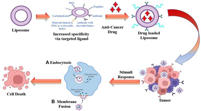 https://cdn.ncbi.nlm.nih.gov/pmc/blobs/bc7d/9846181/4816084d6610/fchem-10-1095598-g001.jpg
