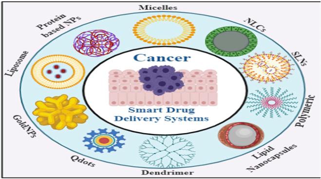 https://cdn.ncbi.nlm.nih.gov/pmc/blobs/bc7d/9846181/5e5913f80324/fchem-10-1095598-g008.jpg
