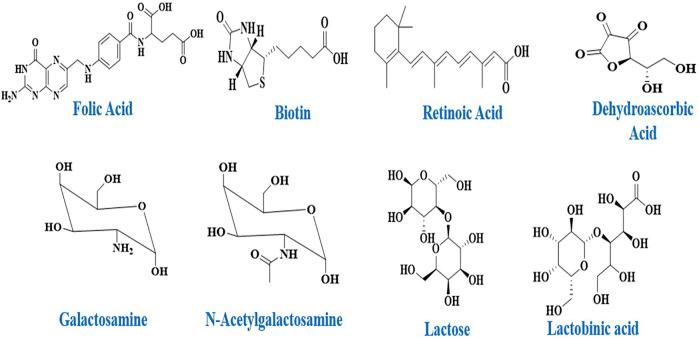 https://cdn.ncbi.nlm.nih.gov/pmc/blobs/bc7d/9846181/c50b8ed5b646/fchem-10-1095598-g002.jpg