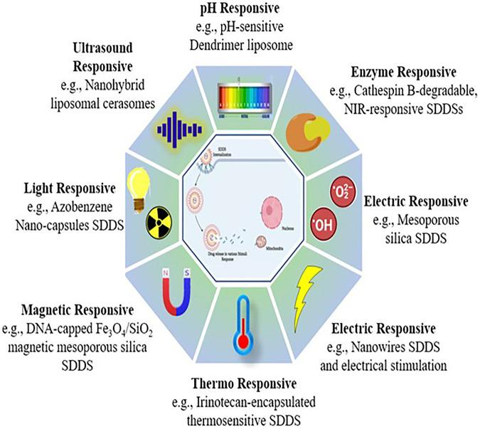 https://cdn.ncbi.nlm.nih.gov/pmc/blobs/bc7d/9846181/c82b845acc89/fchem-10-1095598-g007.jpg