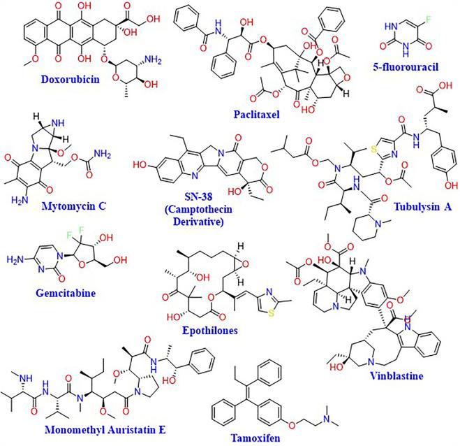 https://cdn.ncbi.nlm.nih.gov/pmc/blobs/bc7d/9846181/cf115ab5630e/fchem-10-1095598-g004.jpg