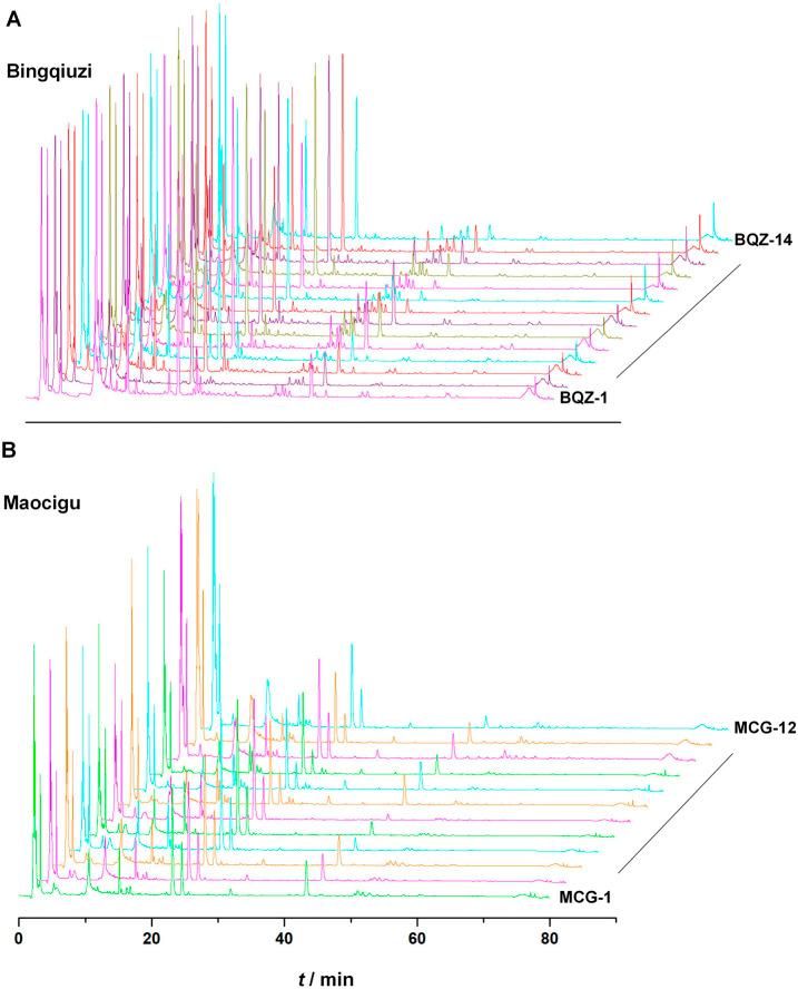 https://cdn.ncbi.nlm.nih.gov/pmc/blobs/bc7e/12198120/ac116ef5dfe9/fphar-16-1544982-g001.jpg