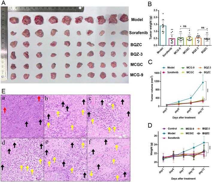 https://cdn.ncbi.nlm.nih.gov/pmc/blobs/bc7e/12198120/ccd87a3a1d91/fphar-16-1544982-g006.jpg