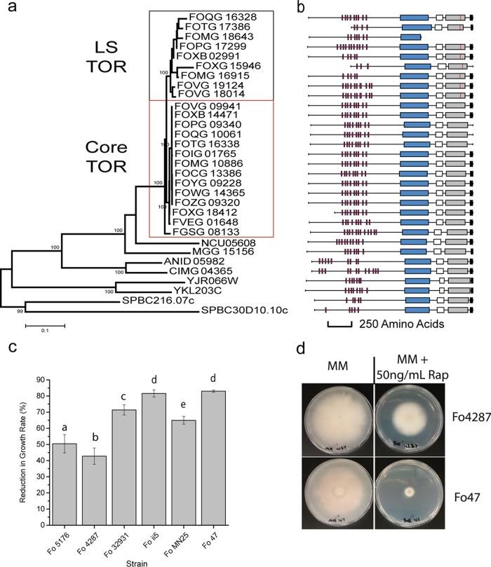 https://cdn.ncbi.nlm.nih.gov/pmc/blobs/bc7e/6001611/9ceba7f9b48c/sph0031825660002.jpg