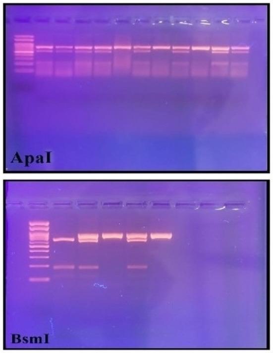 https://cdn.ncbi.nlm.nih.gov/pmc/blobs/bc7f/11427610/09302ef1bdda/10528_2023_10648_Fig4_HTML.jpg