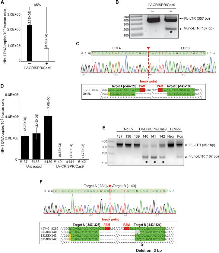 https://cdn.ncbi.nlm.nih.gov/pmc/blobs/bc81/6011019/576b594efdea/gr1.jpg