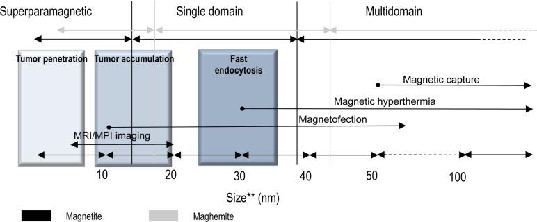 https://cdn.ncbi.nlm.nih.gov/pmc/blobs/bc82/6029241/5c4c177e1023/10.5772_58841-fig2.jpg