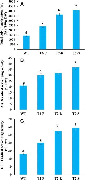 https://cdn.ncbi.nlm.nih.gov/pmc/blobs/bc83/5364578/269f4031c486/12870_2017_1015_Fig7_HTML.jpg