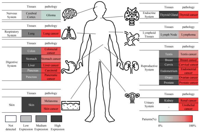 https://cdn.ncbi.nlm.nih.gov/pmc/blobs/bc85/10669528/c1fa980055d7/biomolecules-13-01664-g002.jpg