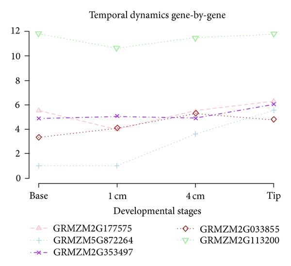 https://cdn.ncbi.nlm.nih.gov/pmc/blobs/bc85/3622290/026d5be45a4c/BMRI2013-203681.006.jpg