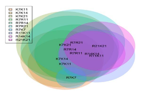 https://cdn.ncbi.nlm.nih.gov/pmc/blobs/bc85/3622290/2ff20df38ff1/BMRI2013-203681.001.jpg