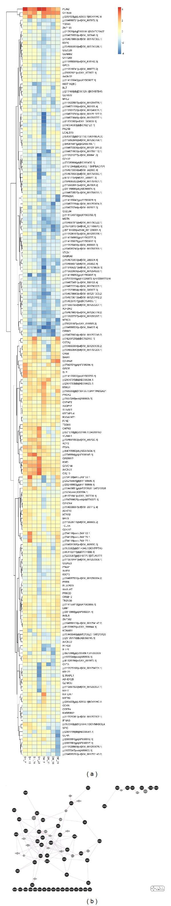 https://cdn.ncbi.nlm.nih.gov/pmc/blobs/bc85/3622290/c87d115f0cab/BMRI2013-203681.005.jpg