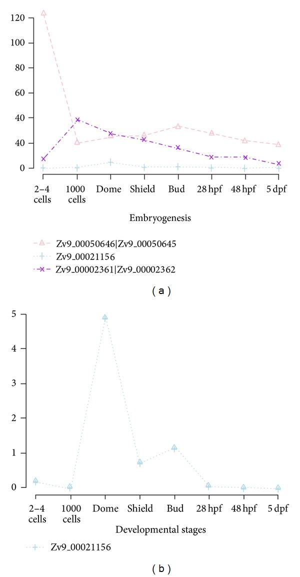 https://cdn.ncbi.nlm.nih.gov/pmc/blobs/bc85/3622290/dcb4fa25c403/BMRI2013-203681.008.jpg