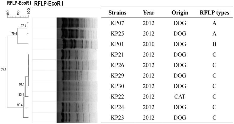 https://cdn.ncbi.nlm.nih.gov/pmc/blobs/bc85/5389360/7defb97418ab/fmicb-08-00529-g002.jpg