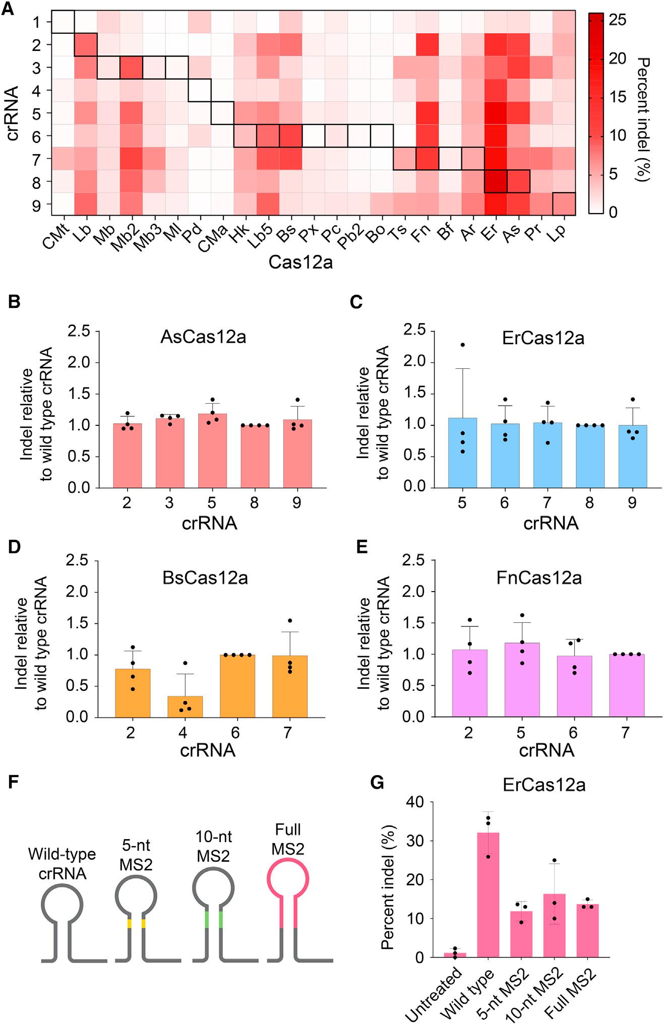 https://cdn.ncbi.nlm.nih.gov/pmc/blobs/bc87/11031708/e5eb69d48554/nihms-1970895-f0005.jpg