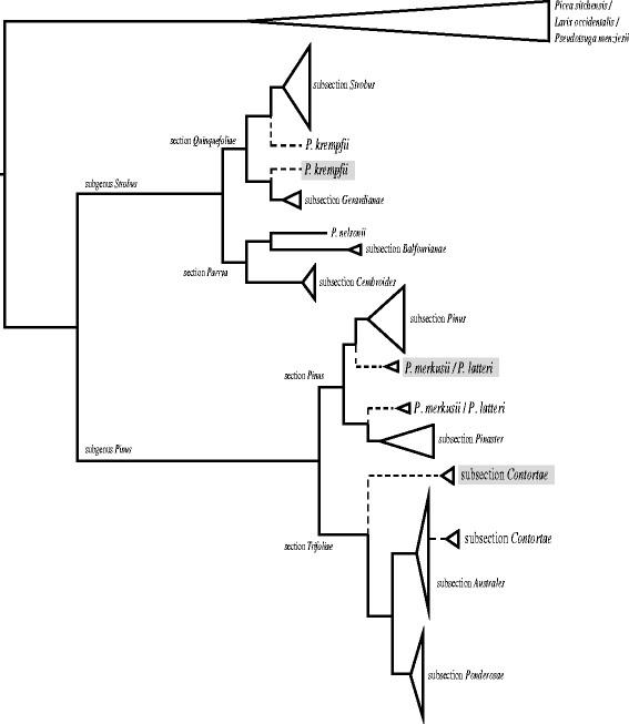 https://cdn.ncbi.nlm.nih.gov/pmc/blobs/bc8c/3475122/96efeb4cc407/1471-2148-12-100-1.jpg