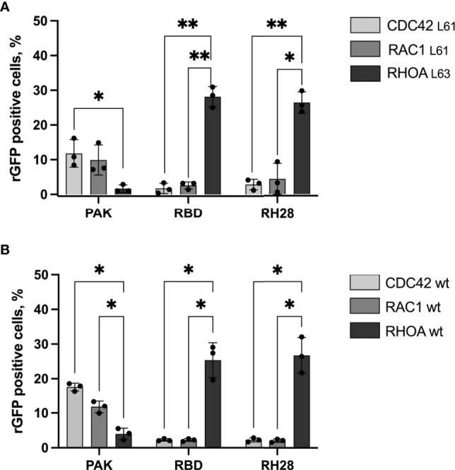 https://cdn.ncbi.nlm.nih.gov/pmc/blobs/bc8c/9433928/6db7ba378861/fimmu-13-980539-g002.jpg