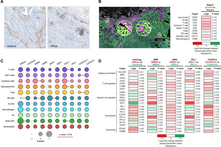 https://cdn.ncbi.nlm.nih.gov/pmc/blobs/bc8e/11927434/291139e119de/jitc-13-3-g002.jpg
