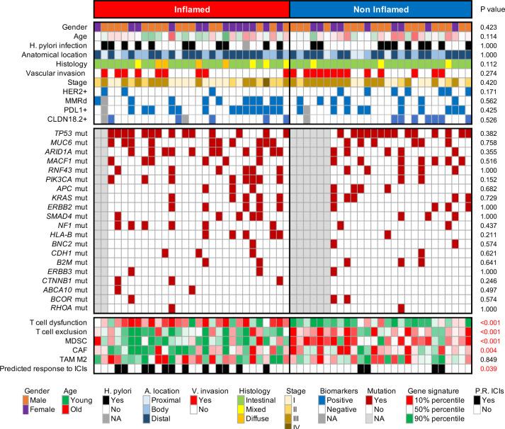 https://cdn.ncbi.nlm.nih.gov/pmc/blobs/bc8e/11927434/7d149383f860/jitc-13-3-g004.jpg