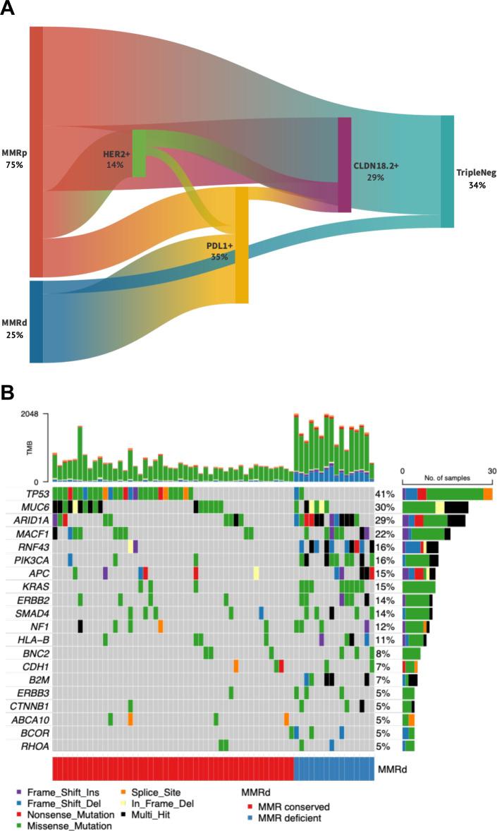 https://cdn.ncbi.nlm.nih.gov/pmc/blobs/bc8e/11927434/ef17916eac07/jitc-13-3-g001.jpg