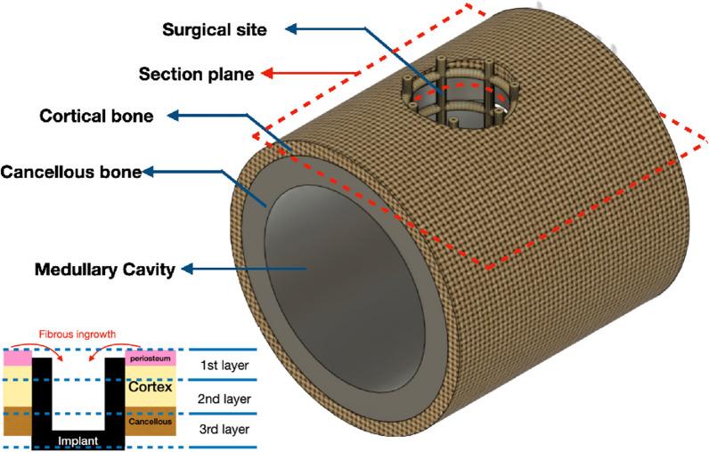 https://cdn.ncbi.nlm.nih.gov/pmc/blobs/bc90/11097440/9fbdcb9392d5/13018_2024_4784_Fig5_HTML.jpg