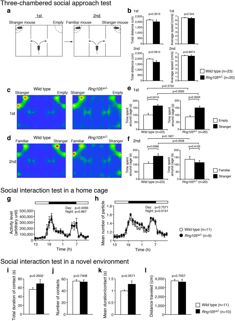 https://cdn.ncbi.nlm.nih.gov/pmc/blobs/bc90/4749962/ca526e74b3b2/srep20775-f2.jpg