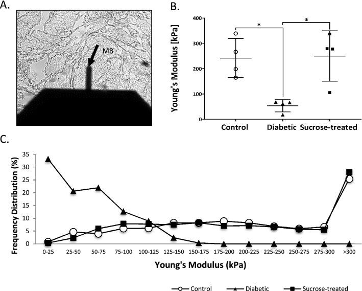 https://cdn.ncbi.nlm.nih.gov/pmc/blobs/bc91/8324824/1349a022733c/41598_2021_94532_Fig6_HTML.jpg