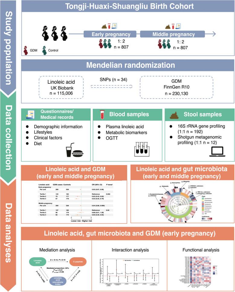 https://cdn.ncbi.nlm.nih.gov/pmc/blobs/bc94/12036143/70c8648a3ea6/12916_2025_4061_Fig1_HTML.jpg