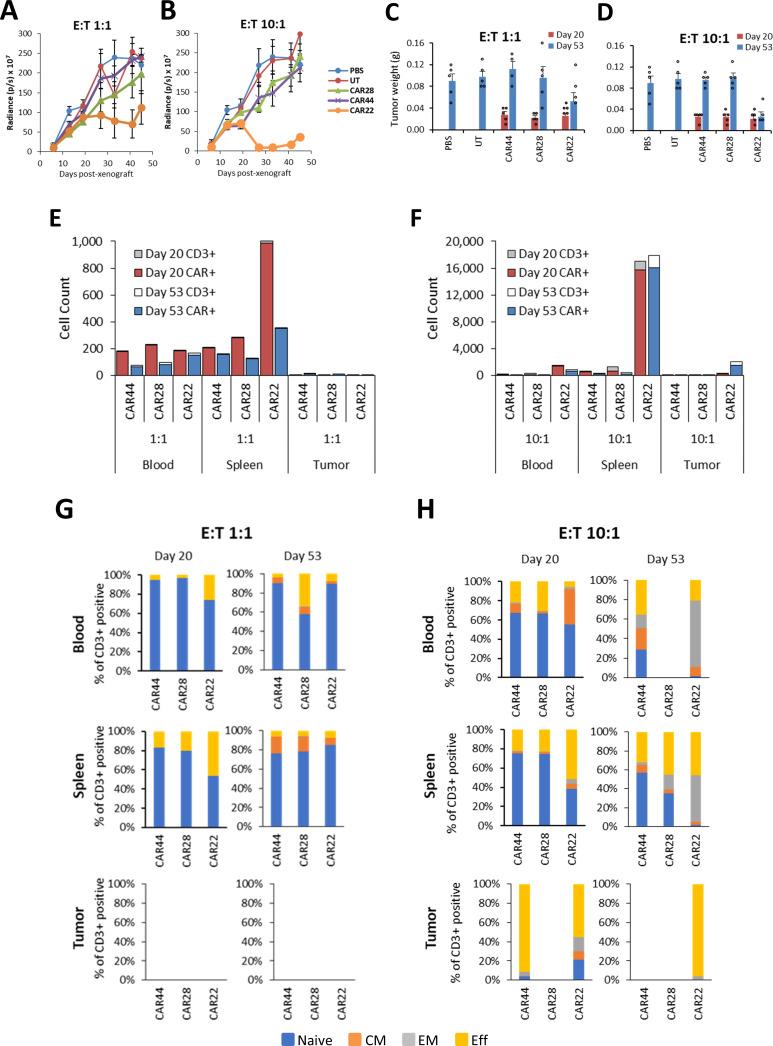 https://cdn.ncbi.nlm.nih.gov/pmc/blobs/bc96/12128413/1d9736d1bf12/jitc-13-5-g004.jpg