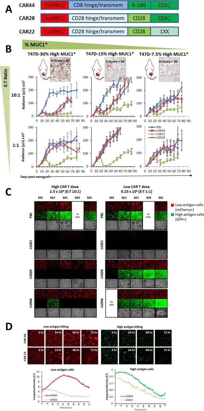 https://cdn.ncbi.nlm.nih.gov/pmc/blobs/bc96/12128413/55d1356f6189/jitc-13-5-g003.jpg