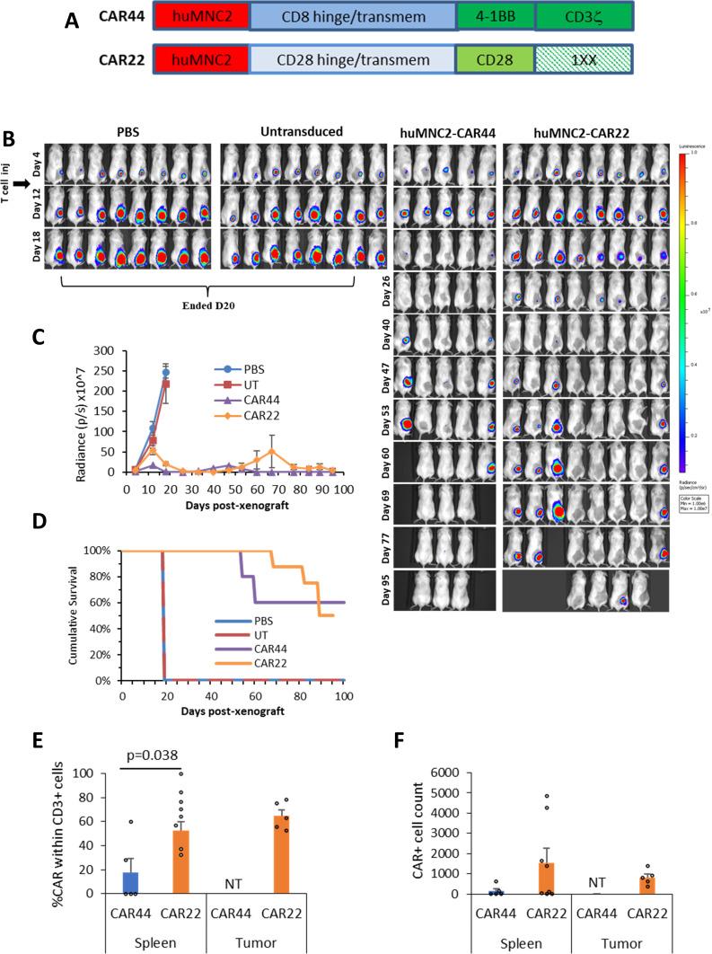 https://cdn.ncbi.nlm.nih.gov/pmc/blobs/bc96/12128413/8b3792933da6/jitc-13-5-g002.jpg
