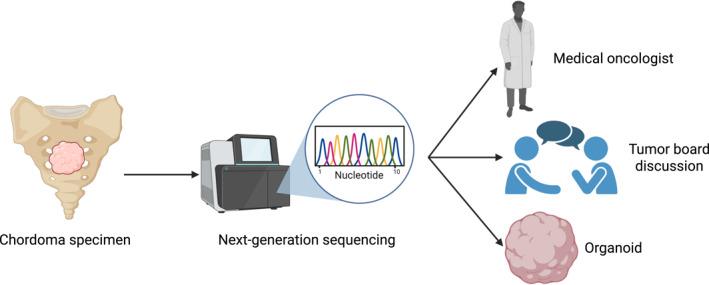 https://cdn.ncbi.nlm.nih.gov/pmc/blobs/bc96/12348310/4f6753e3a8a9/CNCR-131-e70033-g002.jpg