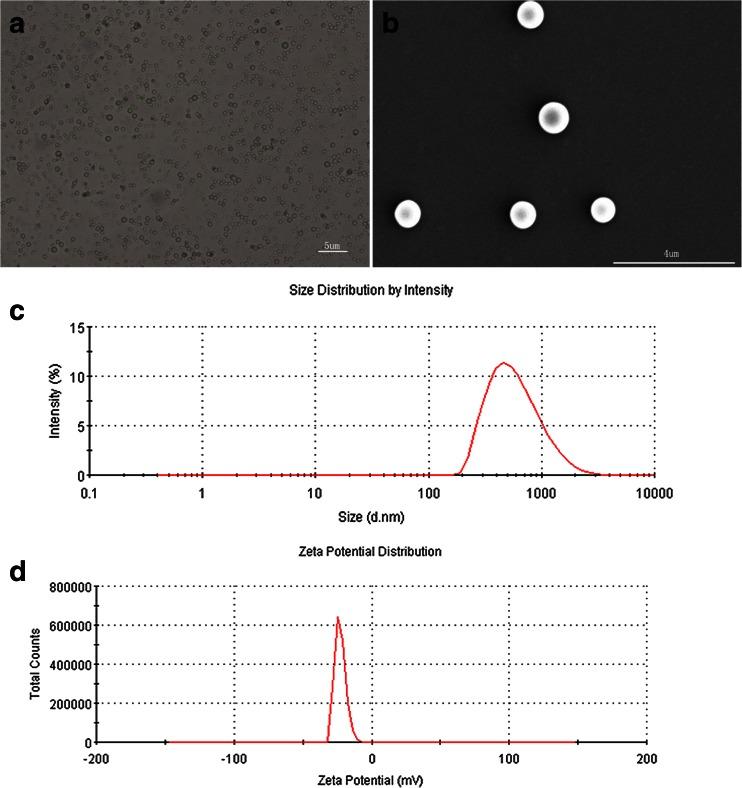 https://cdn.ncbi.nlm.nih.gov/pmc/blobs/bc96/4990606/36b0b13a6fc5/13277_2015_4525_Fig1_HTML.jpg