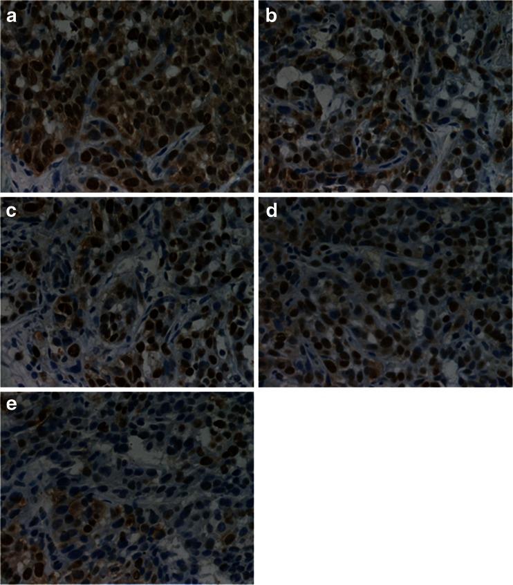 https://cdn.ncbi.nlm.nih.gov/pmc/blobs/bc96/4990606/7a4b31762fb9/13277_2015_4525_Fig5_HTML.jpg