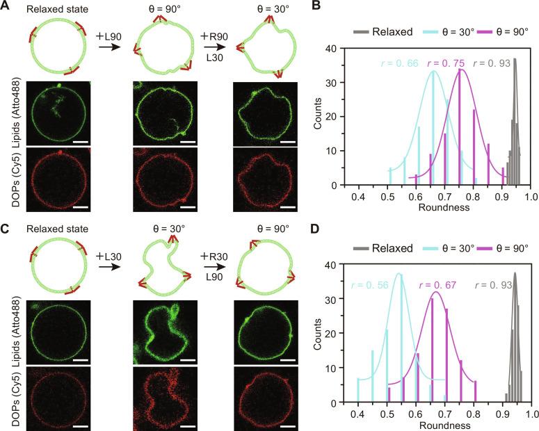 https://cdn.ncbi.nlm.nih.gov/pmc/blobs/bc97/11328896/9cfa3a423492/sciadv.adn8903-f3.jpg