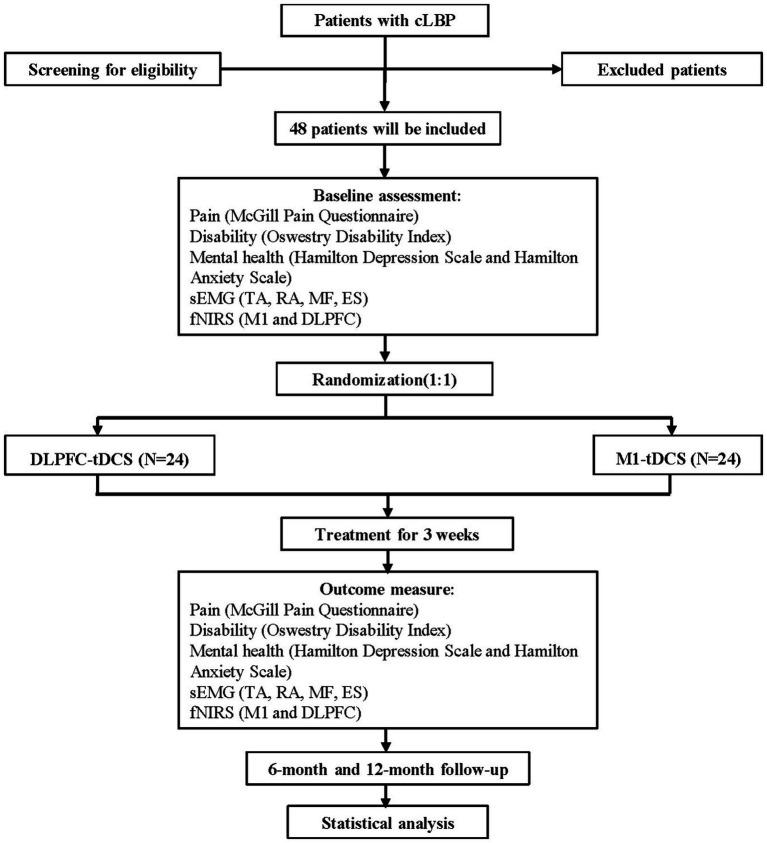 https://cdn.ncbi.nlm.nih.gov/pmc/blobs/bc97/12283631/d52d2a4fb434/fnhum-19-1586257-g001.jpg