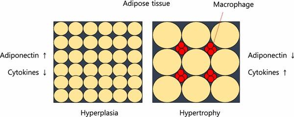 https://cdn.ncbi.nlm.nih.gov/pmc/blobs/bc99/4246128/5f1dc254d34b/12272_2014_474_Fig2_HTML.jpg