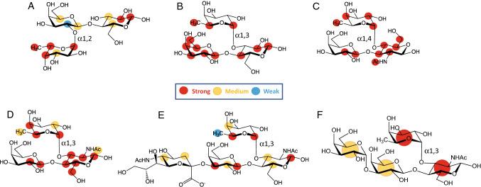 https://cdn.ncbi.nlm.nih.gov/pmc/blobs/bc9b/11072398/4658218afcf6/18_2020_3514_Fig6_HTML.jpg