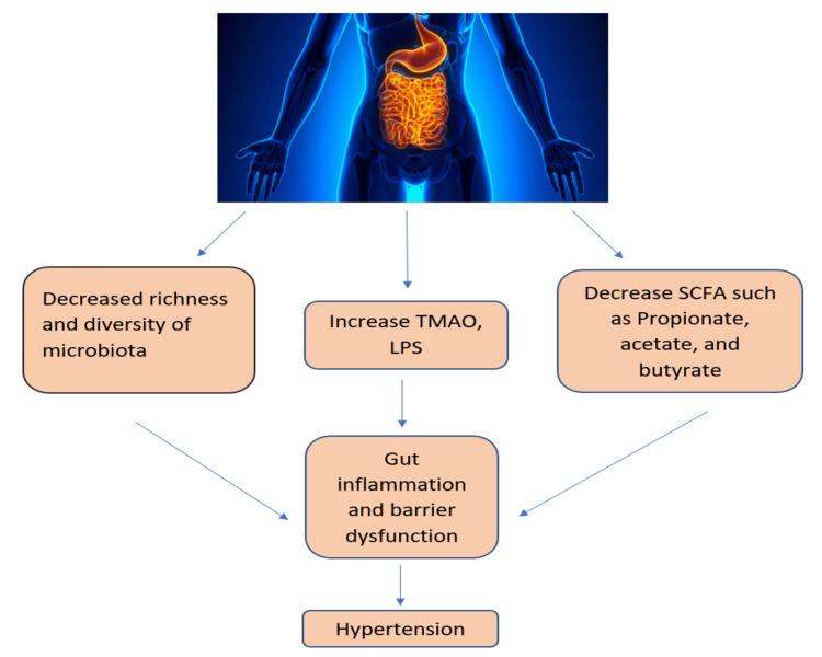 https://cdn.ncbi.nlm.nih.gov/pmc/blobs/bc9c/9642844/3c1ac0d2fb25/cureus-0014-00000029927-i02.jpg