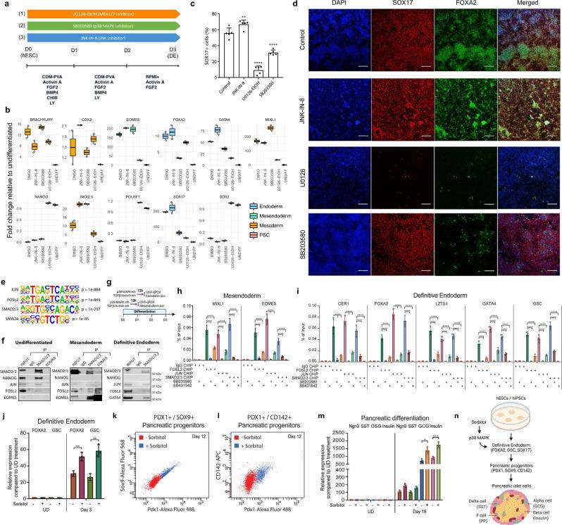 https://cdn.ncbi.nlm.nih.gov/pmc/blobs/bca2/9876972/3b3e2cde574b/41467_2023_36116_Fig4_HTML.jpg